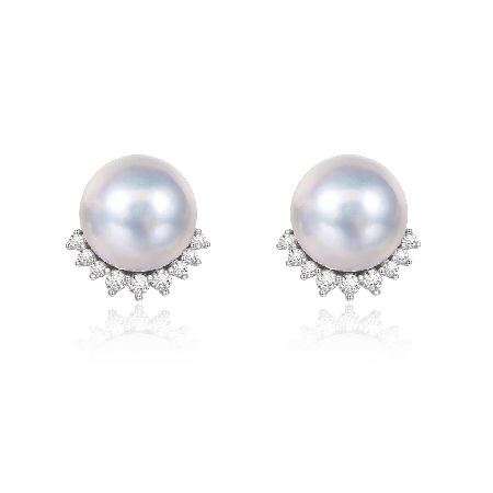 Freshwater Stud Earrings