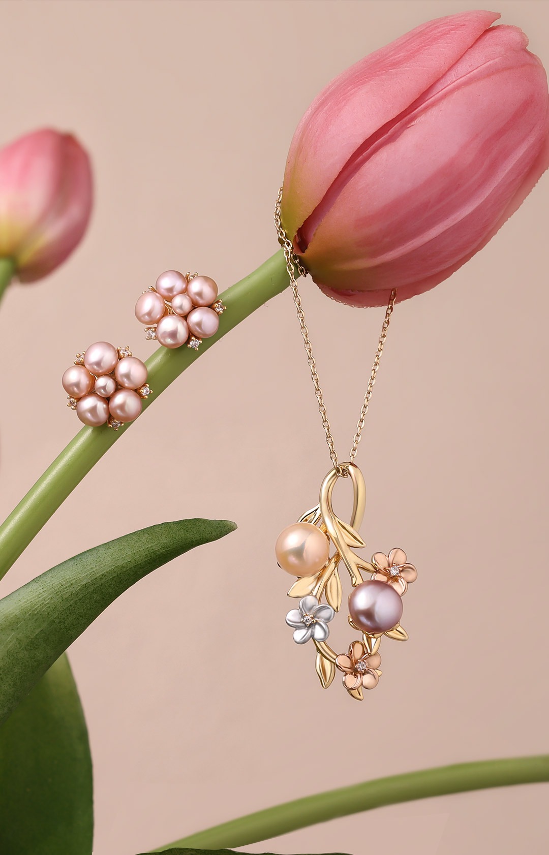BLOOMLUXE